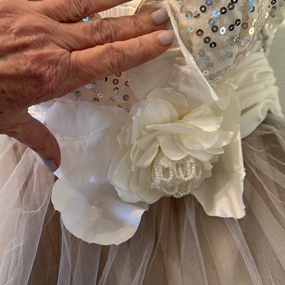 Light in the Box formal size 0. EUC fully lined built in bra and boning. - Picture 3 of 6